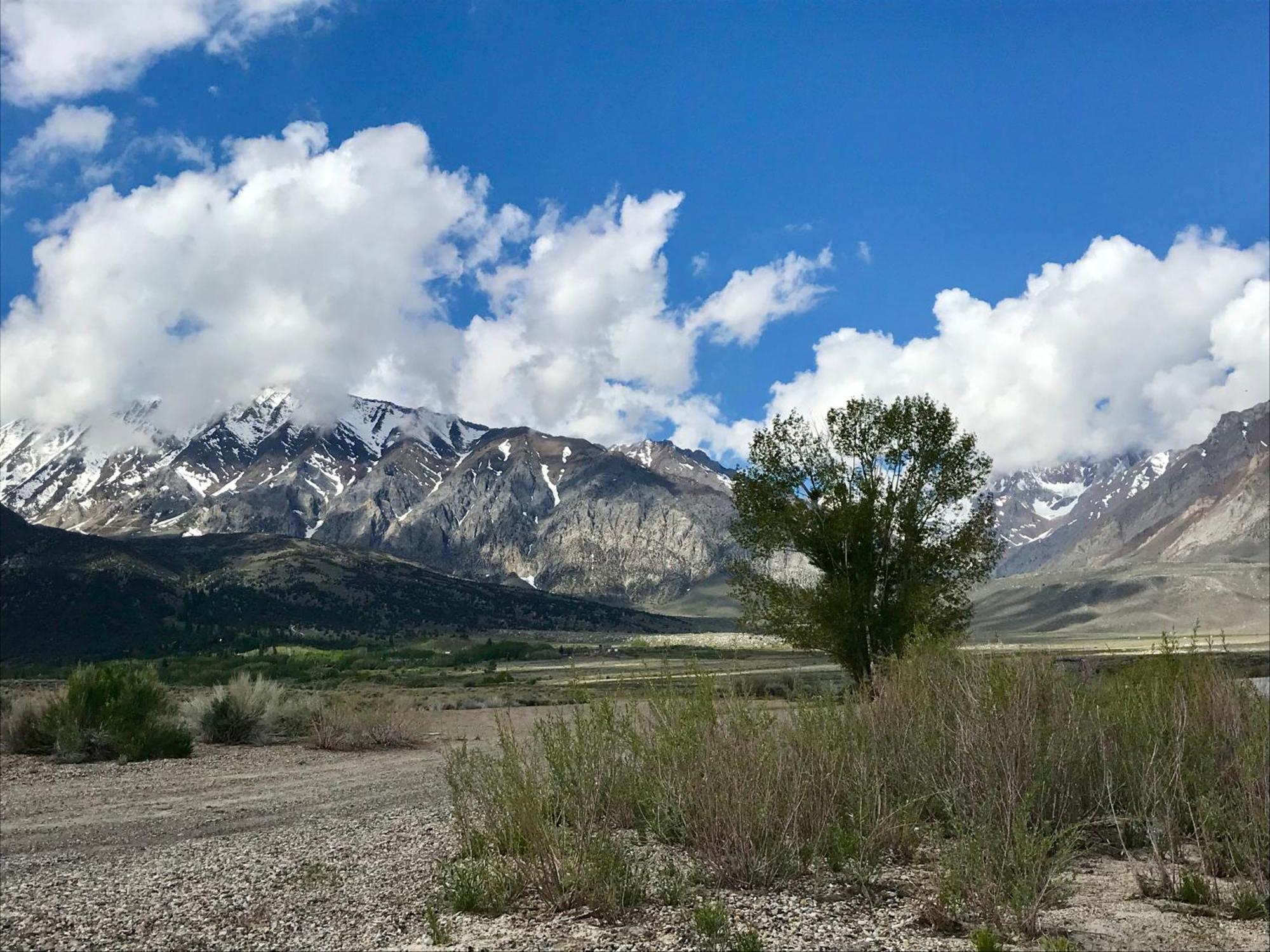 Villa Mountainback #73, Den Mammoth Lakes Esterno foto
